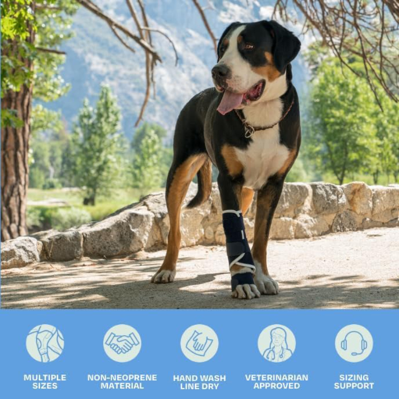 Carpal Hyperextension Dog Brac – обзор и цена Ankle Mobility Band