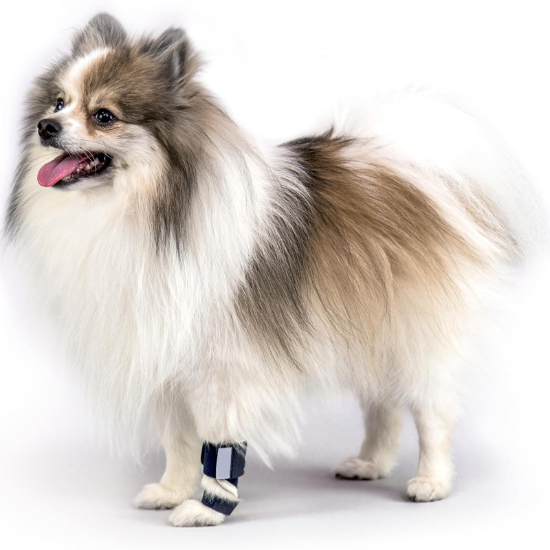 Carpal Hyperextension Dog Brac – обзор и цена Ankle Mobility Band