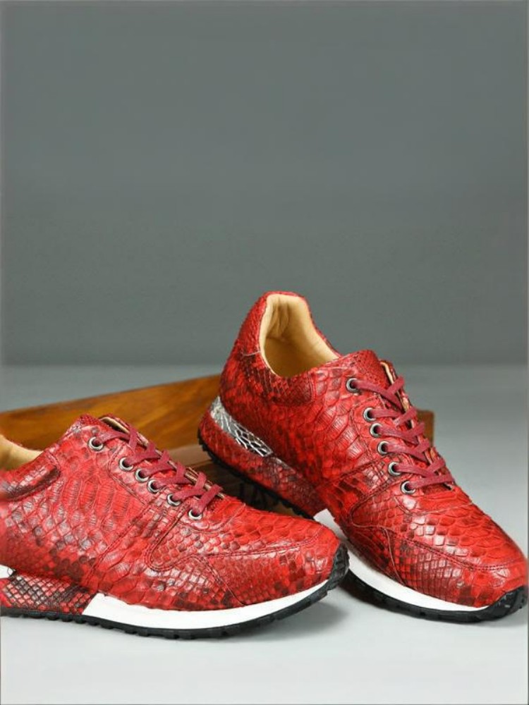 Concise Solid Color Snakeskin  – обзор и цена Crossfit Male